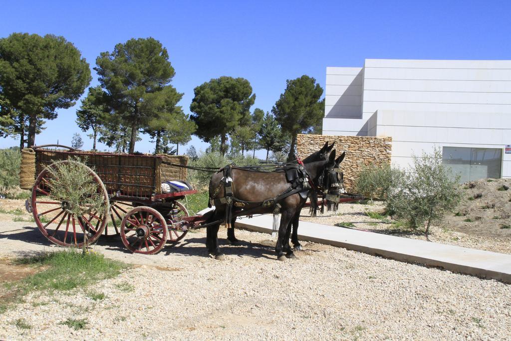 Luz De Alba Villa Argamasilla De Alba ภายนอก รูปภาพ